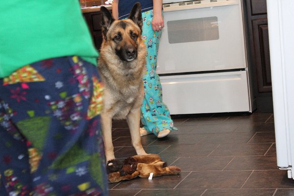 New Camera Dec2010 038